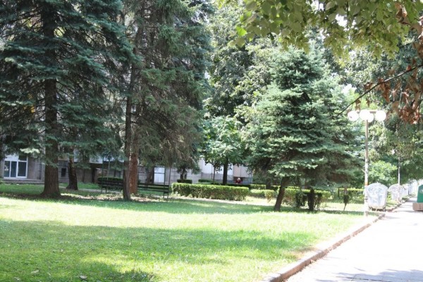 14694398155bbb9c82-cafe-8859-d493-43ed3e35775433A3AC4E-3BB2-AD7D-6CA7-2B93C509B81C.jpg